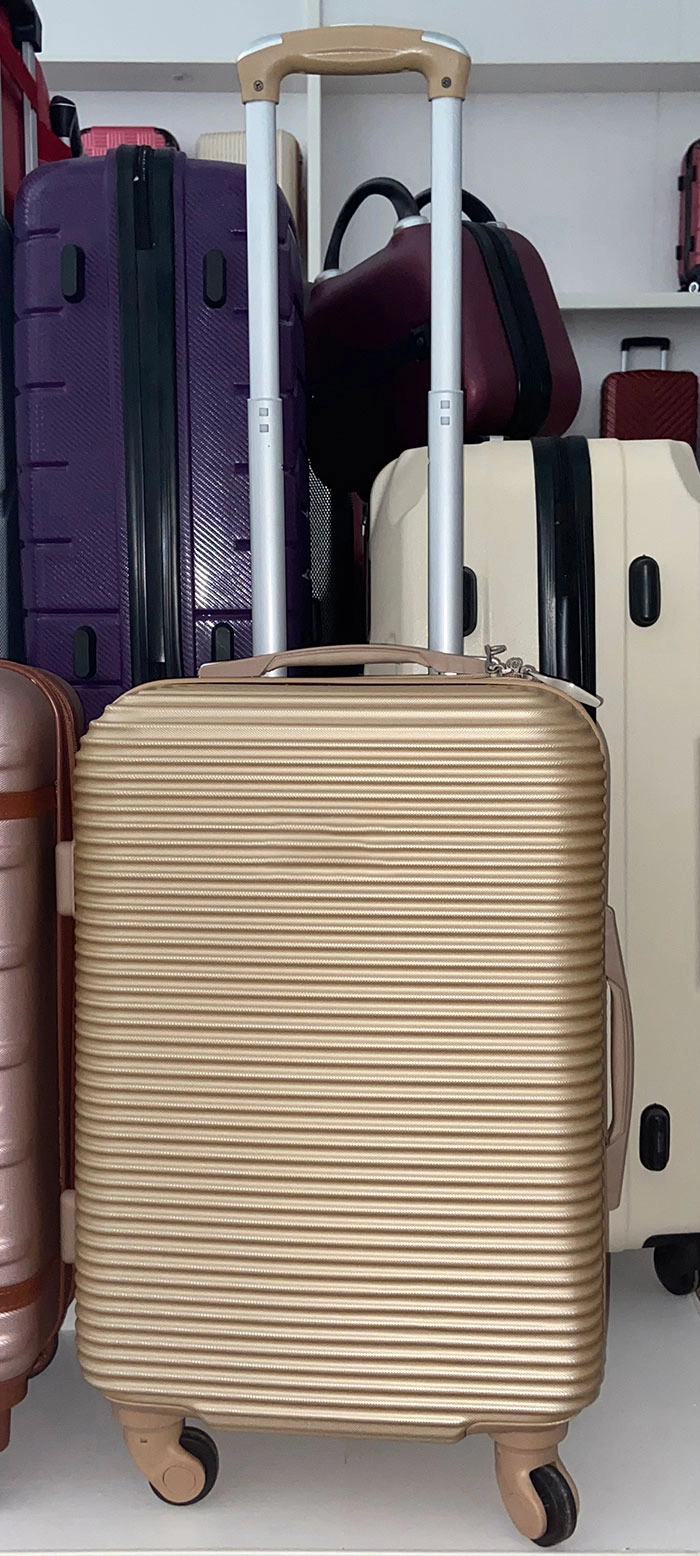 Horizontal Stripe Abs Luggage